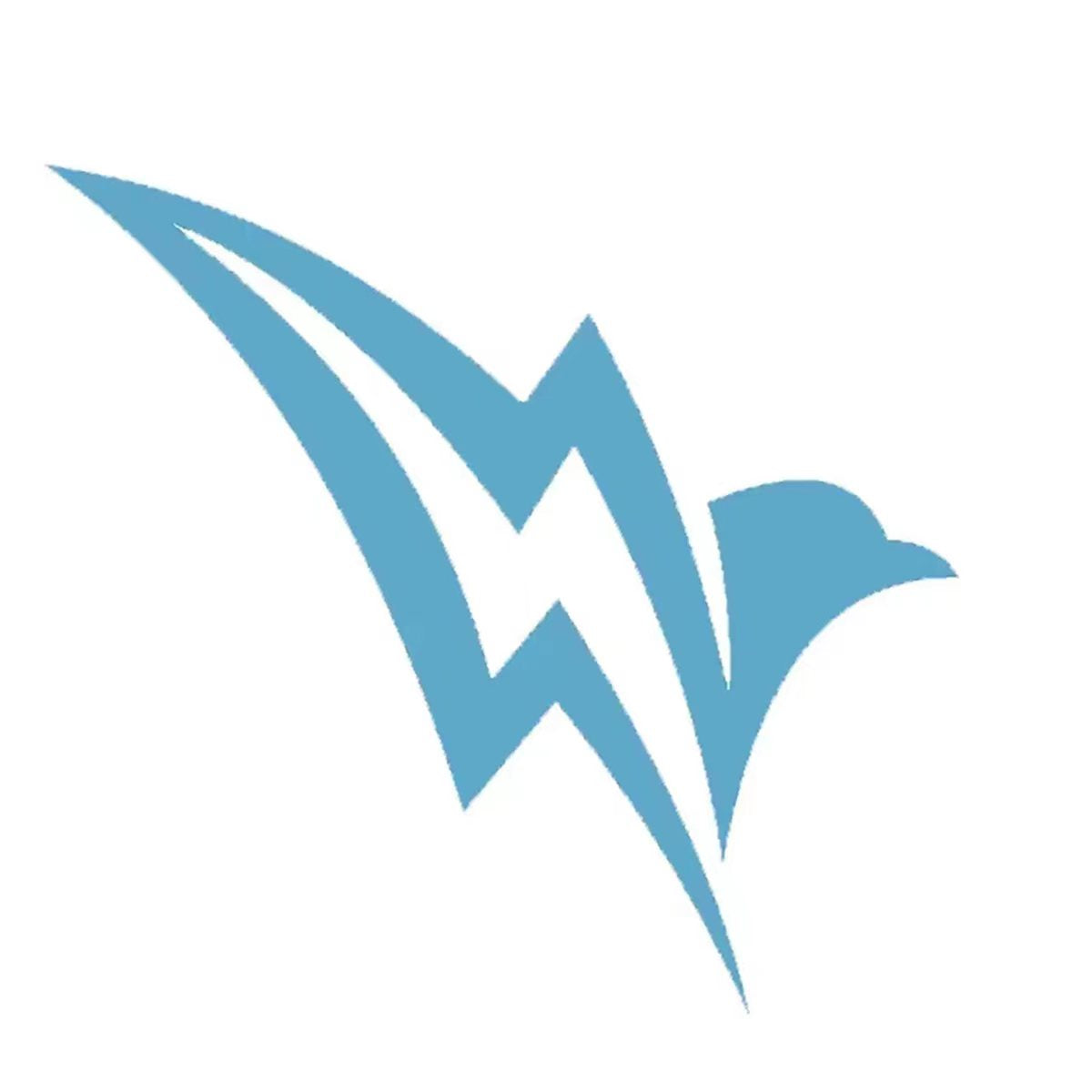 FlashBird icon