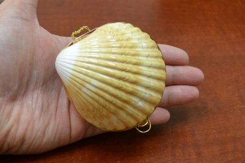 Main Yellow Cup Shell Trinket Box image