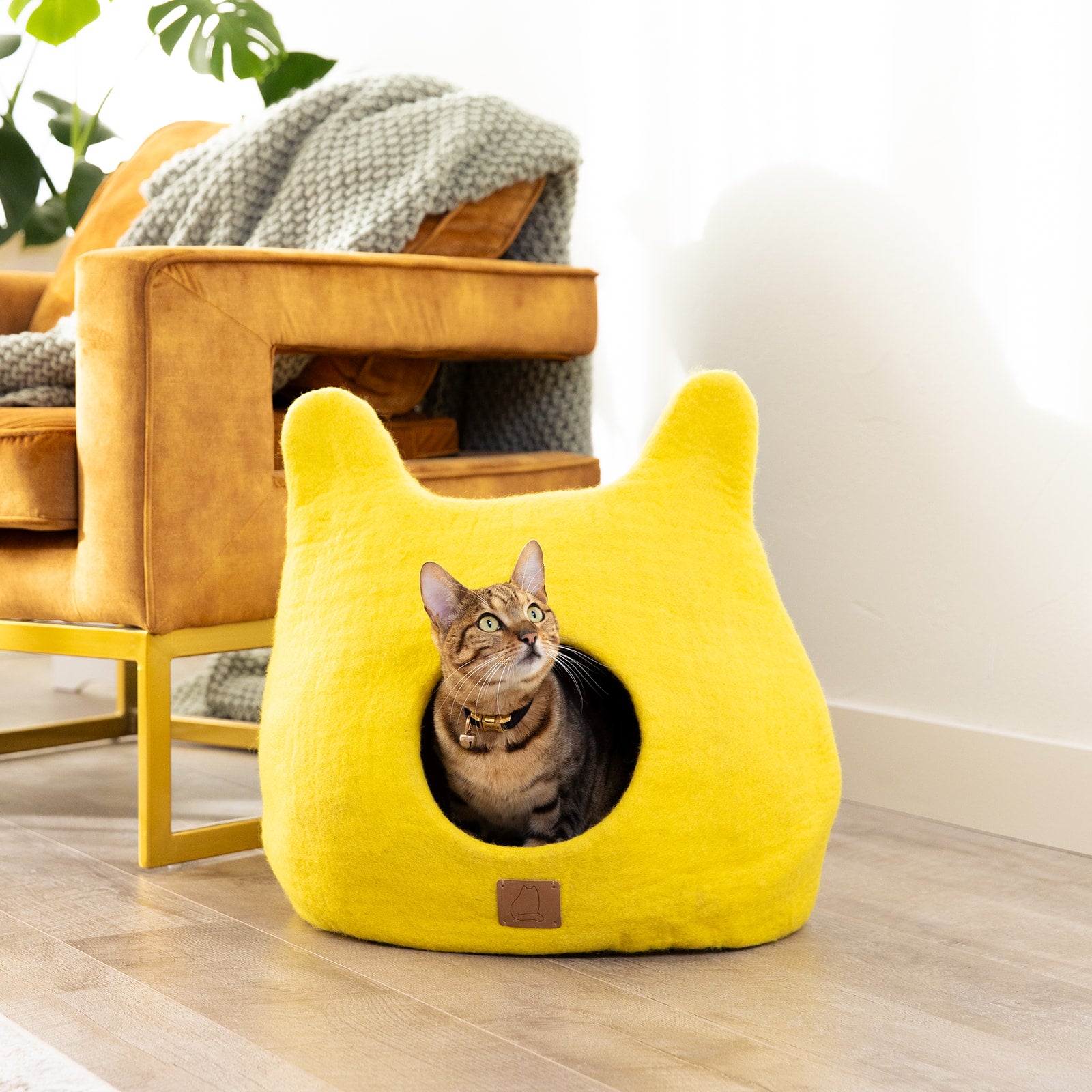 Main Sunny Yellow | Ear Style Cave image