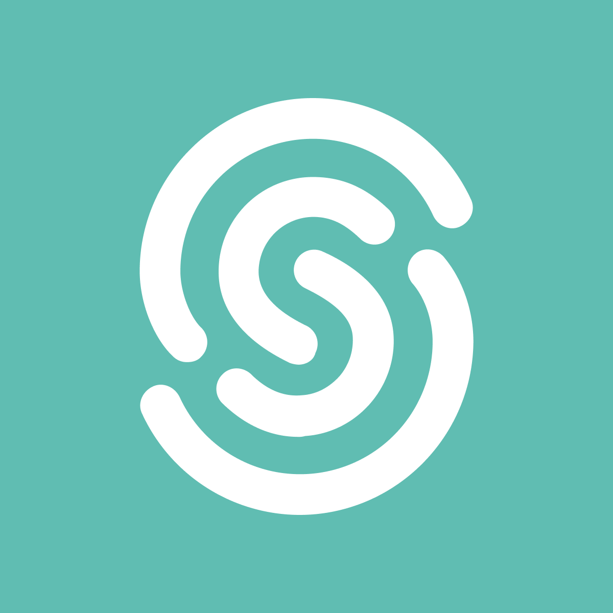 SEON Fraud Prevention icon
