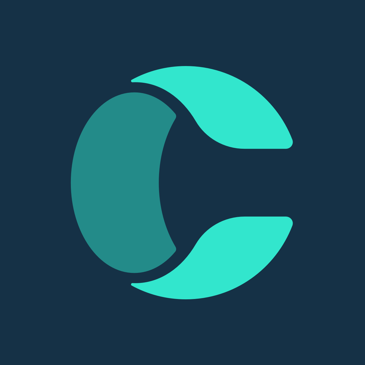 Cargoflux icon