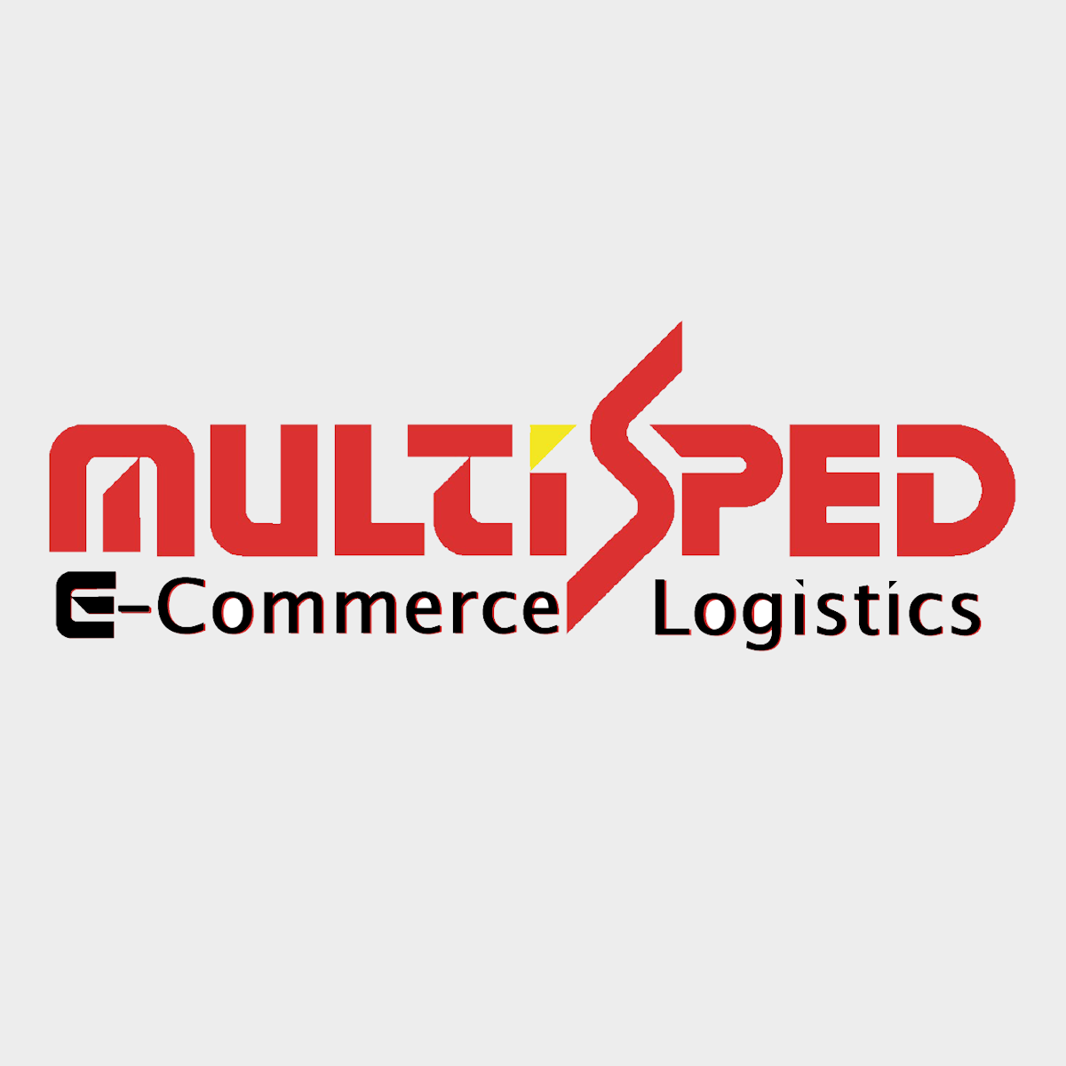 Multisped Logistics icon
